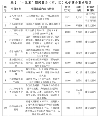 九江市电子商务发展第十三个五年规划纲要（2016-2020年）投资与运营展望