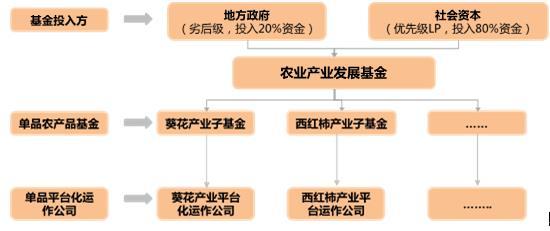 单品战略 开启农业发展新模式——东滩视点第89期